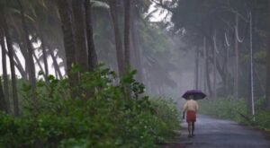 കേരളത്തിൽ മഴ ശക്തമാകും; എട്ട് ജില്ലകളിൽ യെല്ലോ അലർട്ട്
